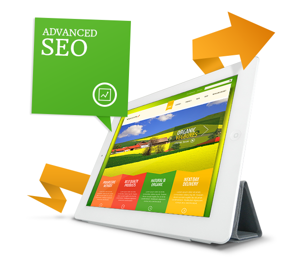 Search Engine Optimization Services