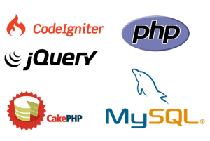 Hire PHP Developers India, Hire PHP Web Development Team India, Hire ...
